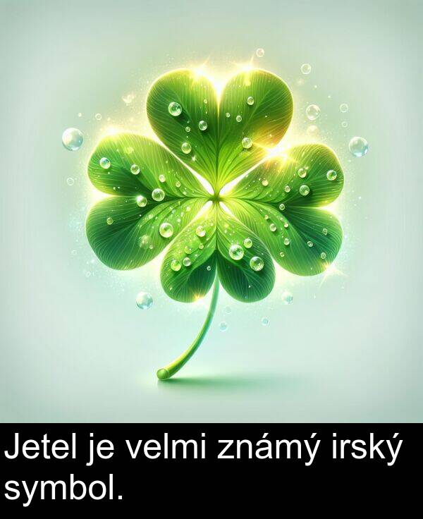 známý: Jetel je velmi známý irský symbol.