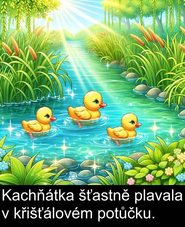potůčku: Kachňátka šťastně plavala v křišťálovém potůčku.
