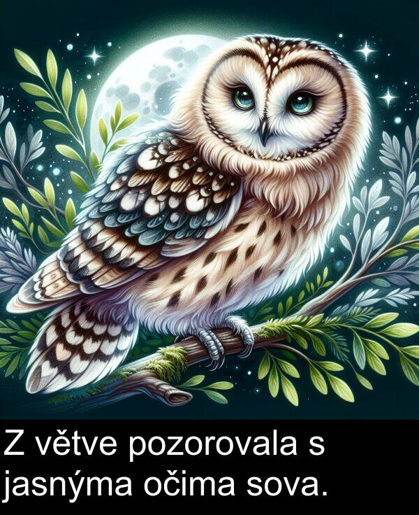 jasnýma: Z větve pozorovala s jasnýma očima sova.
