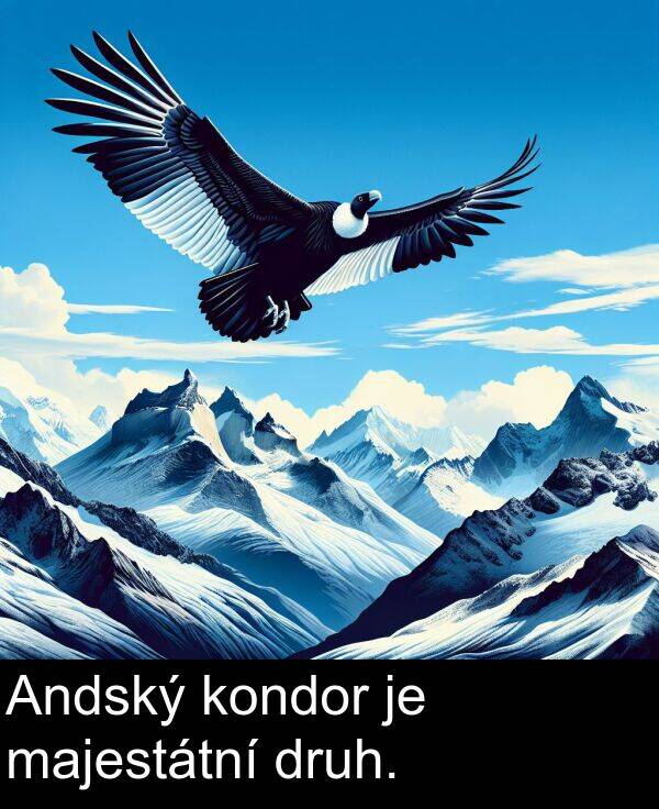 majestátní: Andský kondor je majestátní druh.