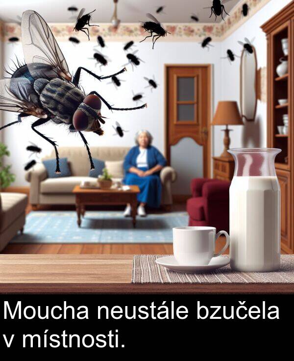 bzučela: Moucha neustále bzučela v místnosti.