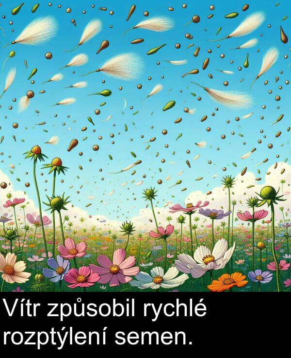 způsobil: Vítr způsobil rychlé rozptýlení semen.