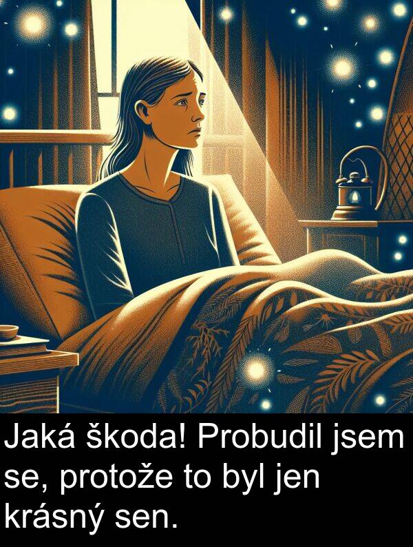 se: Jaká škoda! Probudil jsem se, protože to byl jen krásný sen.