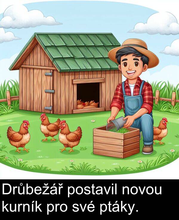 své: Drůbežář postavil novou kurník pro své ptáky.