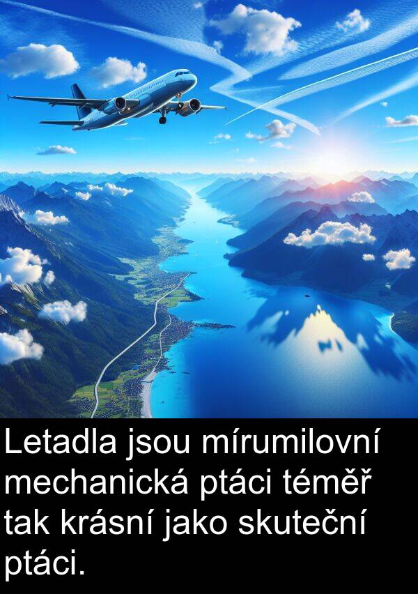 tak: Letadla jsou mírumilovní mechanická ptáci téměř tak krásní jako skuteční ptáci.