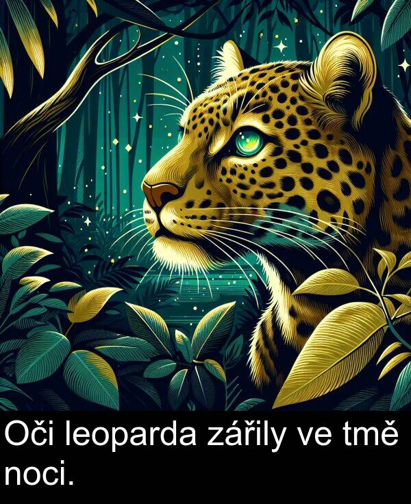 zářily: Oči leoparda zářily ve tmě noci.