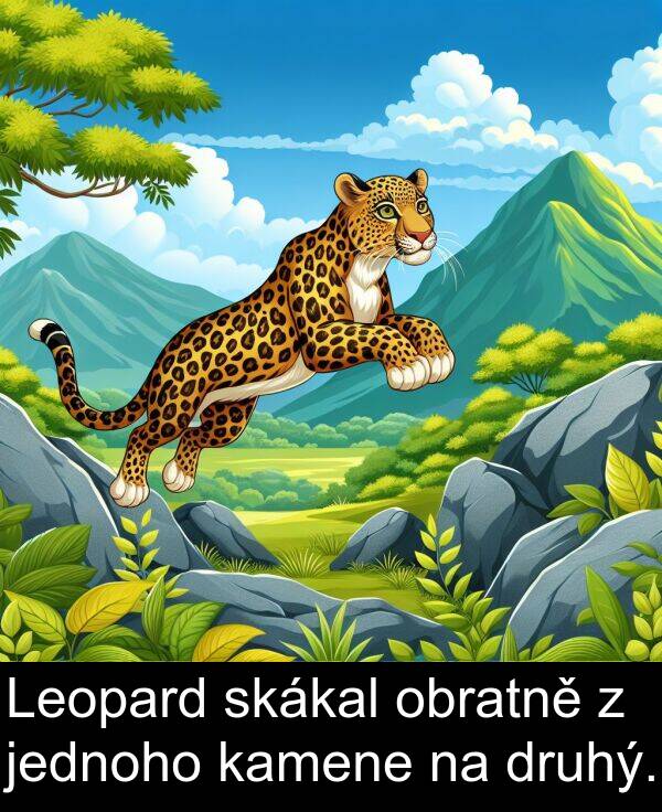 kamene: Leopard skákal obratně z jednoho kamene na druhý.
