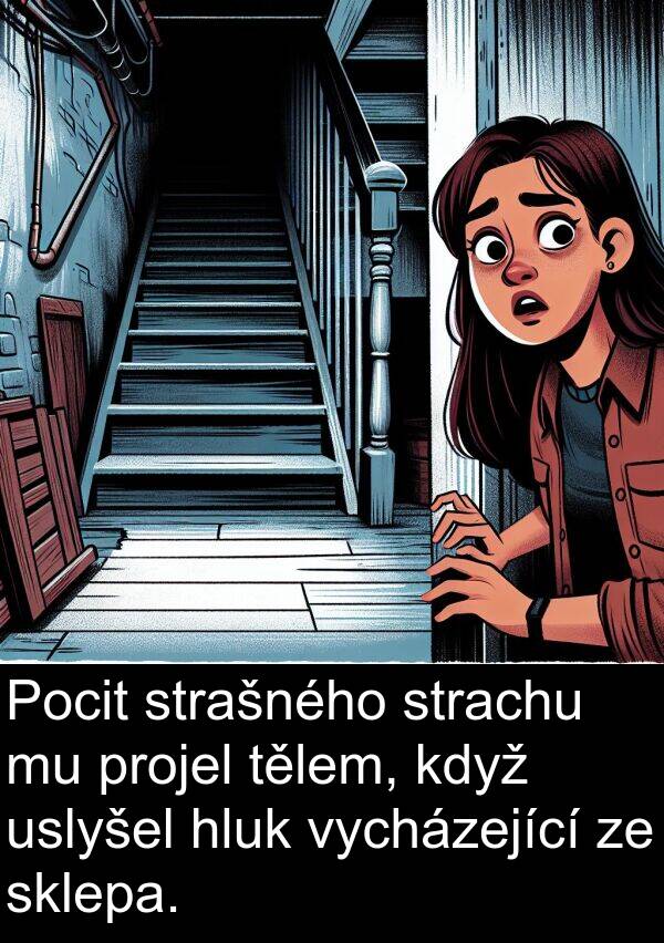 strachu: Pocit strašného strachu mu projel tělem, když uslyšel hluk vycházející ze sklepa.