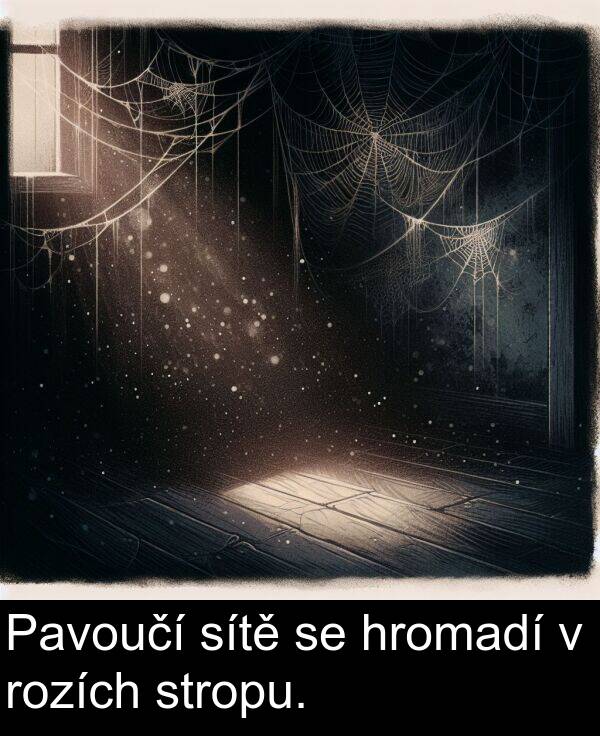 rozích: Pavoučí sítě se hromadí v rozích stropu.