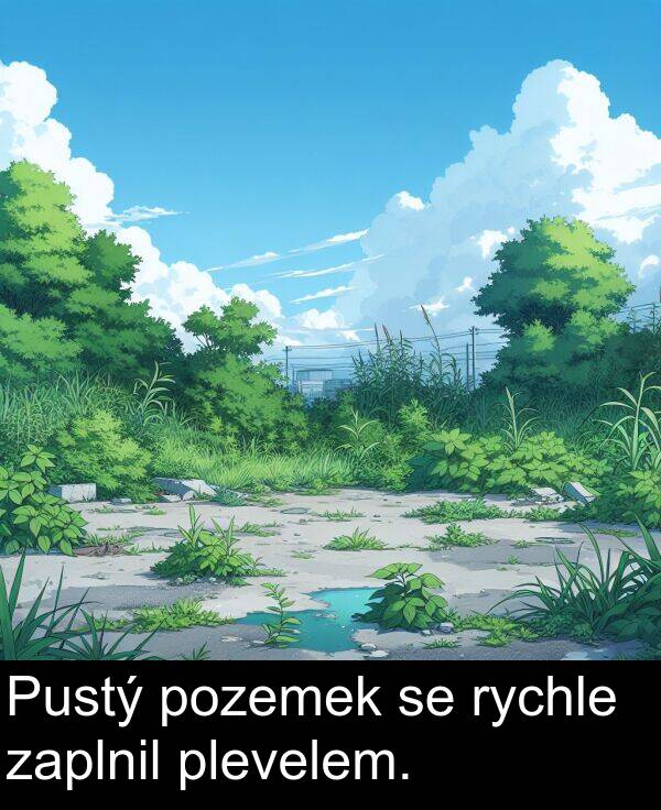 plevelem: Pustý pozemek se rychle zaplnil plevelem.
