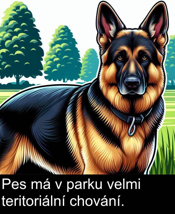 chování: Pes má v parku velmi teritoriální chování.