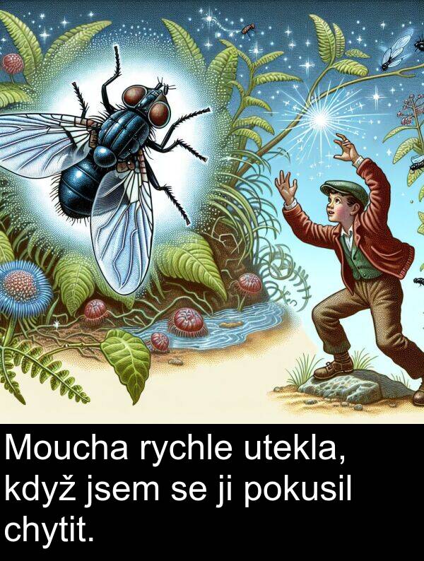 chytit: Moucha rychle utekla, když jsem se ji pokusil chytit.