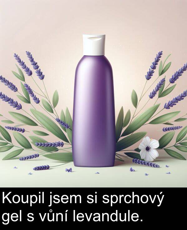 gel: Koupil jsem si sprchový gel s vůní levandule.