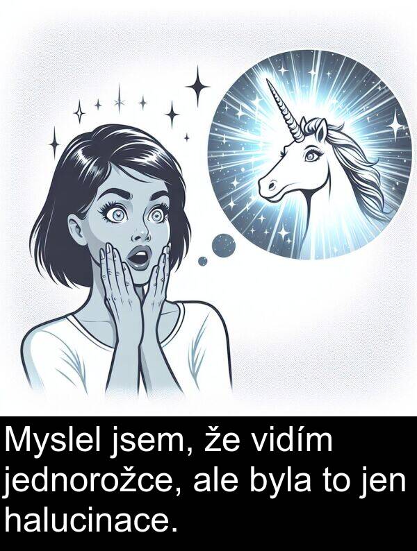 halucinace: Myslel jsem, že vidím jednorožce, ale byla to jen halucinace.
