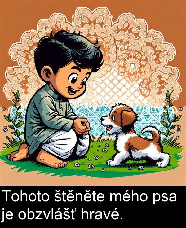 hravé: Tohoto štěněte mého psa je obzvlášť hravé.