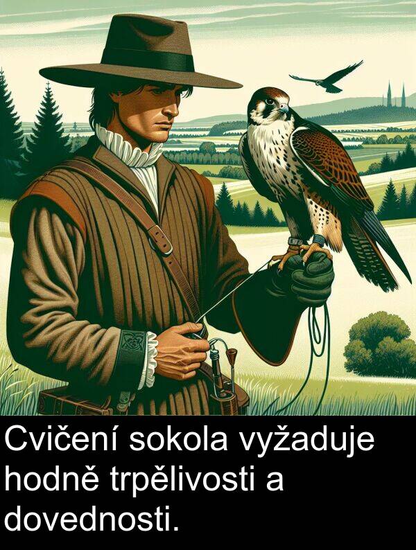 dovednosti: Cvičení sokola vyžaduje hodně trpělivosti a dovednosti.