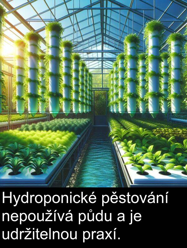 udržitelnou: Hydroponické pěstování nepoužívá půdu a je udržitelnou praxí.