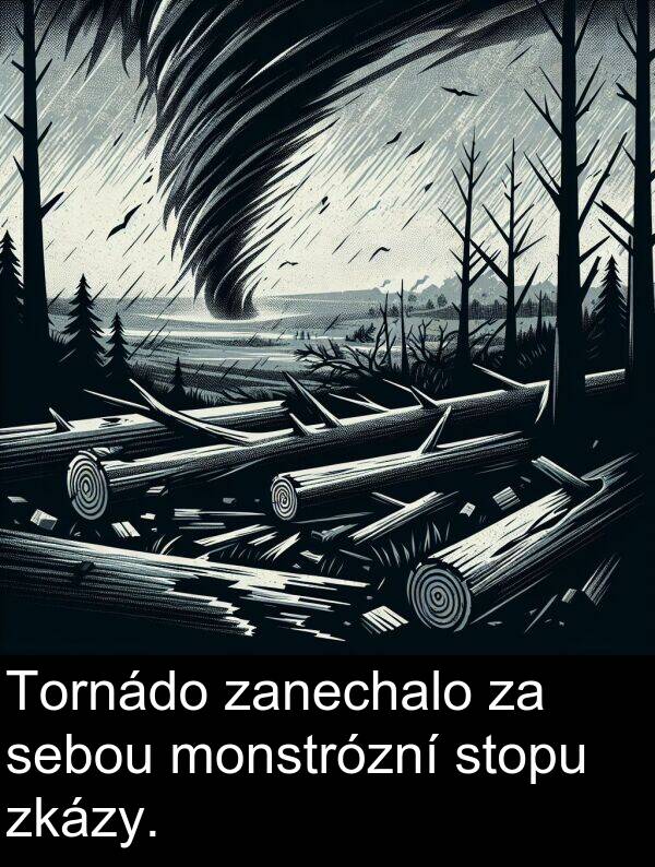 zkázy: Tornádo zanechalo za sebou monstrózní stopu zkázy.