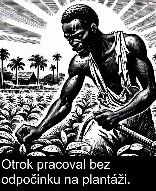 bez: Otrok pracoval bez odpočinku na plantáži.