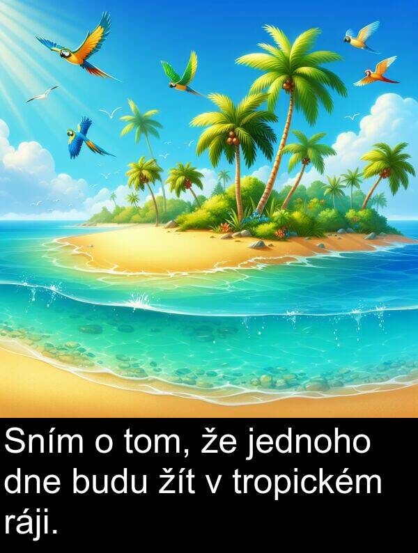 ráji: Sním o tom, že jednoho dne budu žít v tropickém ráji.