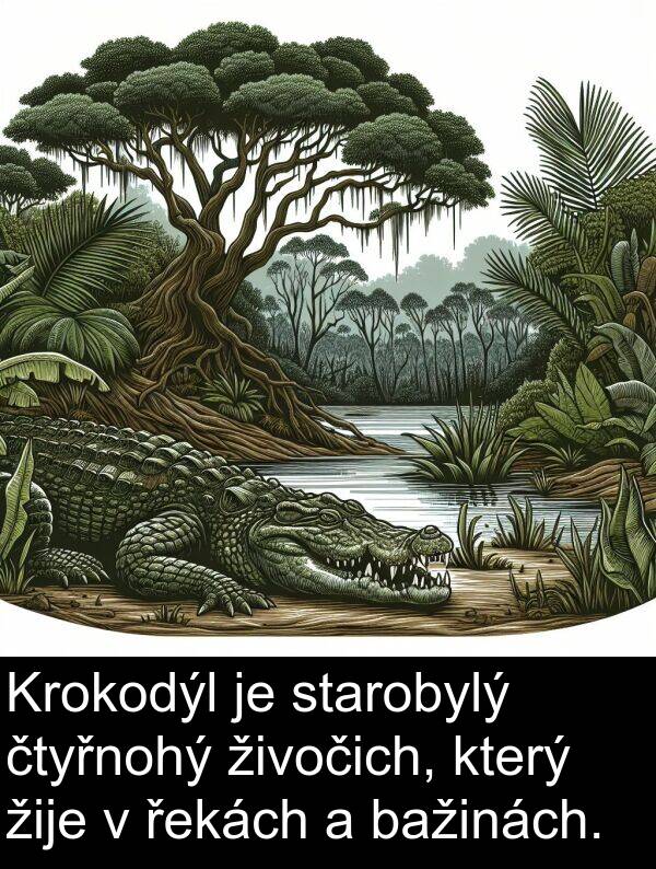 živočich: Krokodýl je starobylý čtyřnohý živočich, který žije v řekách a bažinách.