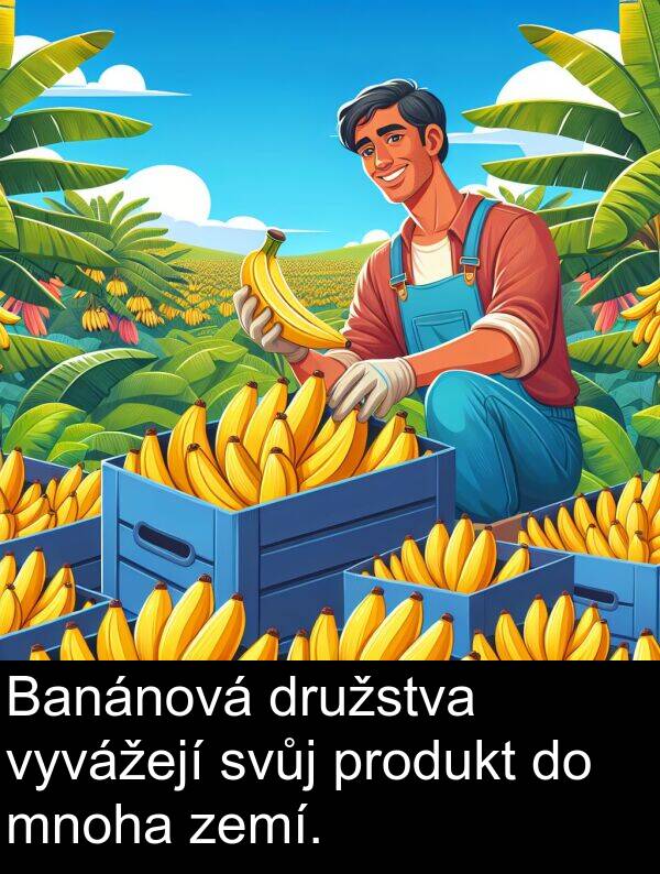 družstva: Banánová družstva vyvážejí svůj produkt do mnoha zemí.