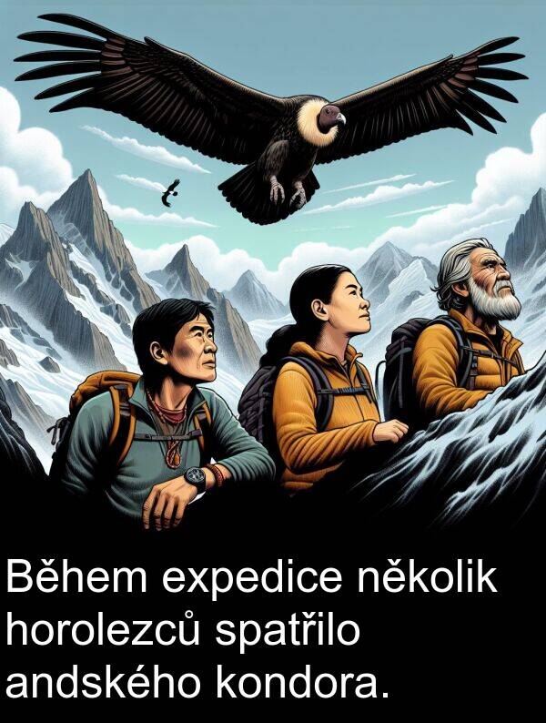andského: Během expedice několik horolezců spatřilo andského kondora.