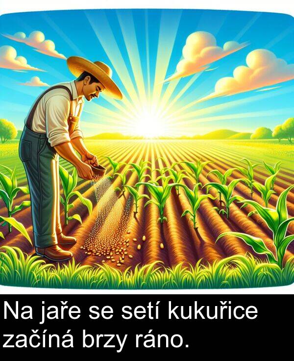 ráno: Na jaře se setí kukuřice začíná brzy ráno.