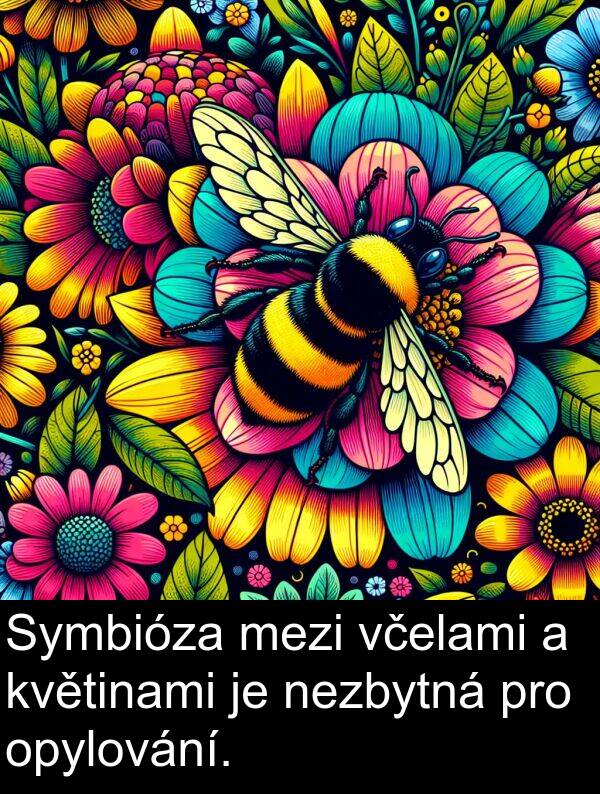 včelami: Symbióza mezi včelami a květinami je nezbytná pro opylování.