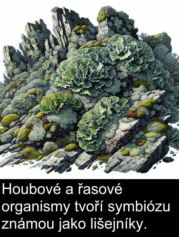 řasové: Houbové a řasové organismy tvoří symbiózu známou jako lišejníky.