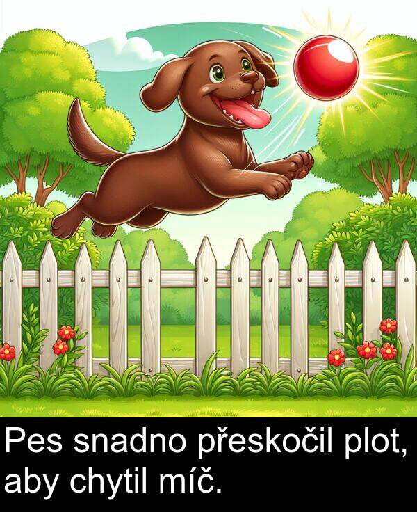 aby: Pes snadno přeskočil plot, aby chytil míč.