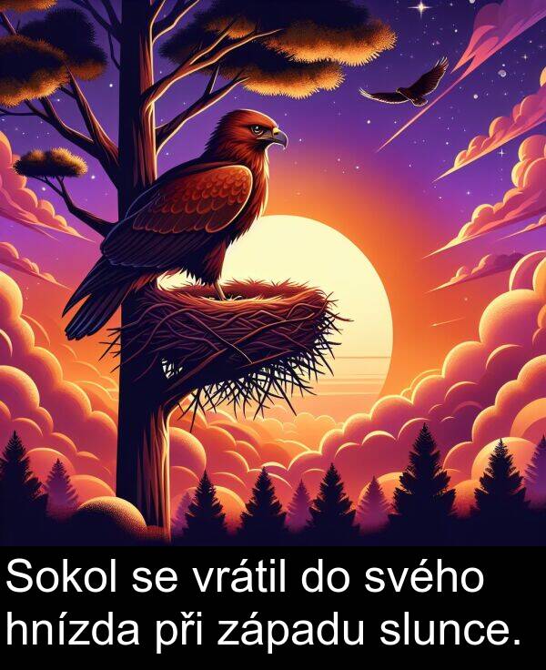 svého: Sokol se vrátil do svého hnízda při západu slunce.