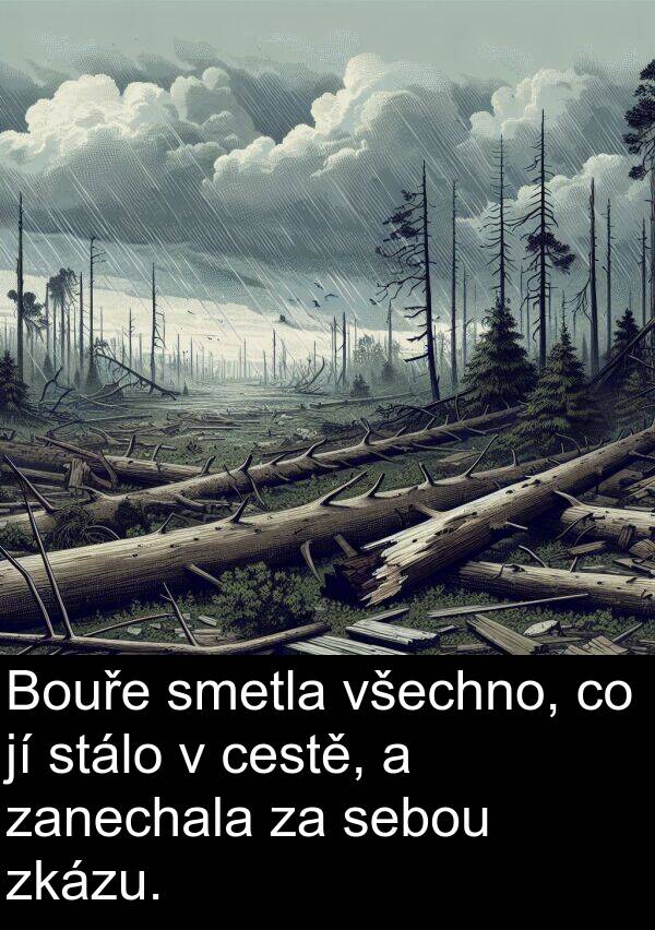 cestě: Bouře smetla všechno, co jí stálo v cestě, a zanechala za sebou zkázu.