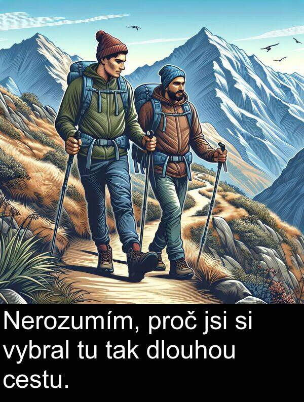 cestu: Nerozumím, proč jsi si vybral tu tak dlouhou cestu.