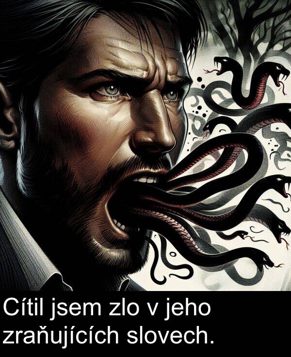 zraňujících: Cítil jsem zlo v jeho zraňujících slovech.