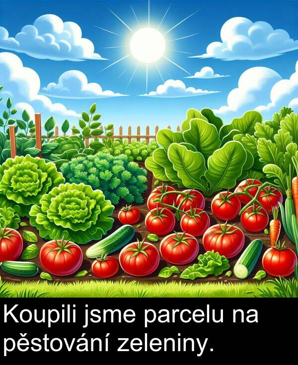 zeleniny: Koupili jsme parcelu na pěstování zeleniny.
