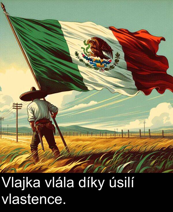 úsilí: Vlajka vlála díky úsilí vlastence.