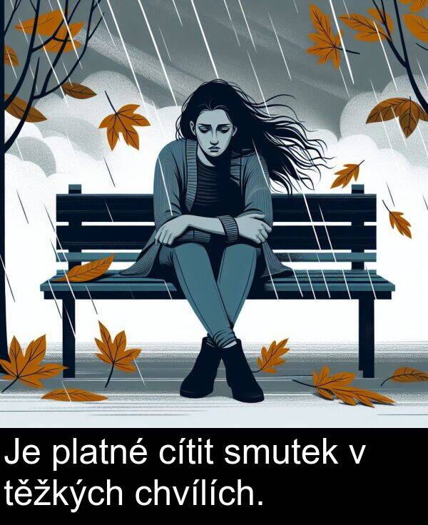 cítit: Je platné cítit smutek v těžkých chvílích.