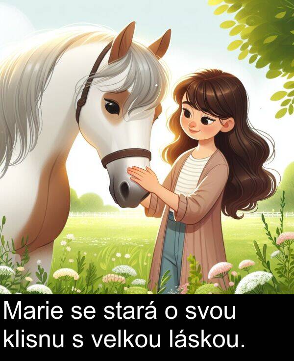 láskou: Marie se stará o svou klisnu s velkou láskou.