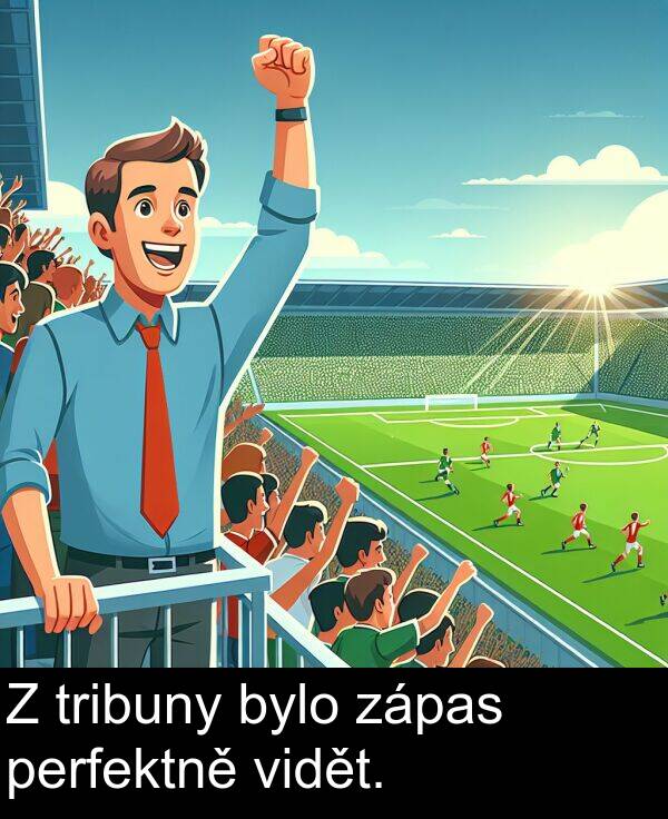 tribuny: Z tribuny bylo zápas perfektně vidět.