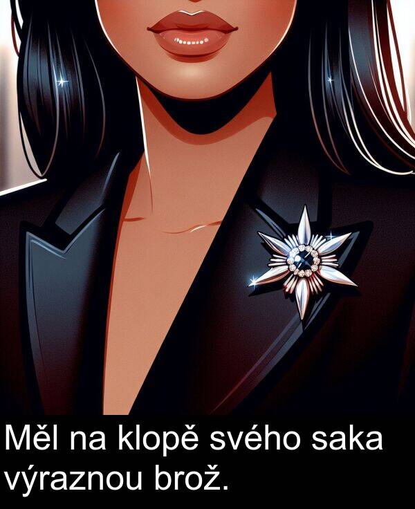 saka: Měl na klopě svého saka výraznou brož.