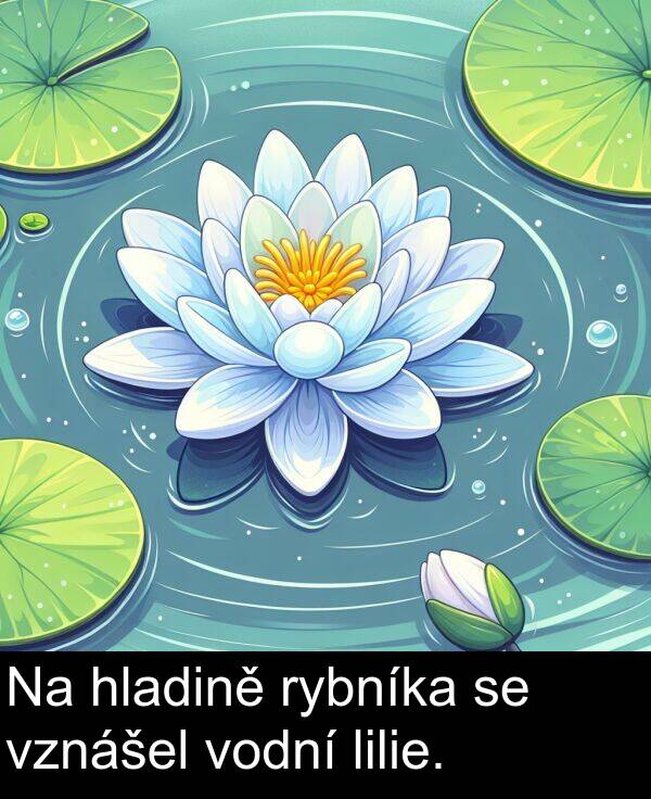hladině: Na hladině rybníka se vznášel vodní lilie.