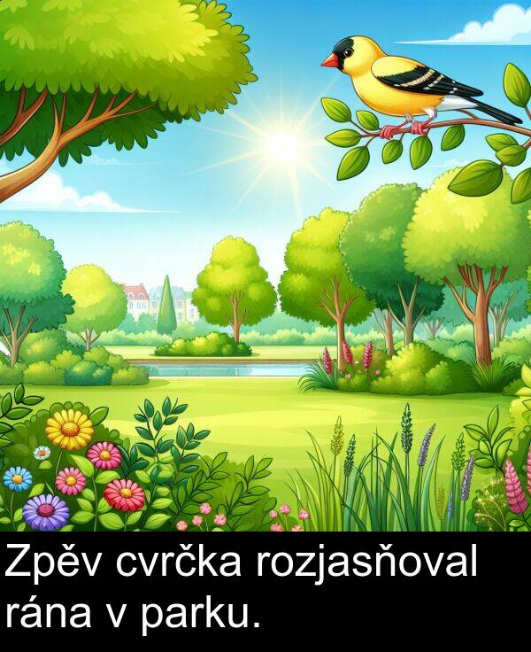 rána: Zpěv cvrčka rozjasňoval rána v parku.