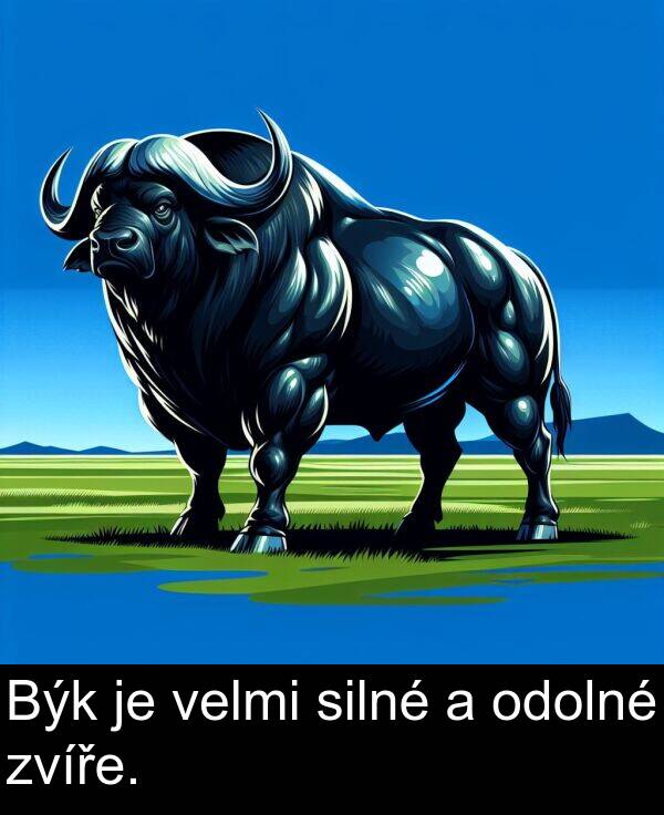 silné: Býk je velmi silné a odolné zvíře.