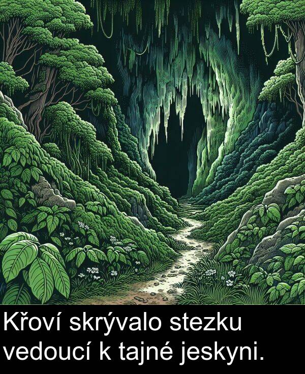 tajné: Křoví skrývalo stezku vedoucí k tajné jeskyni.