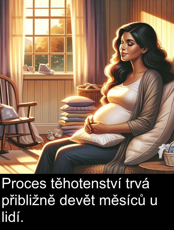 těhotenství: Proces těhotenství trvá přibližně devět měsíců u lidí.