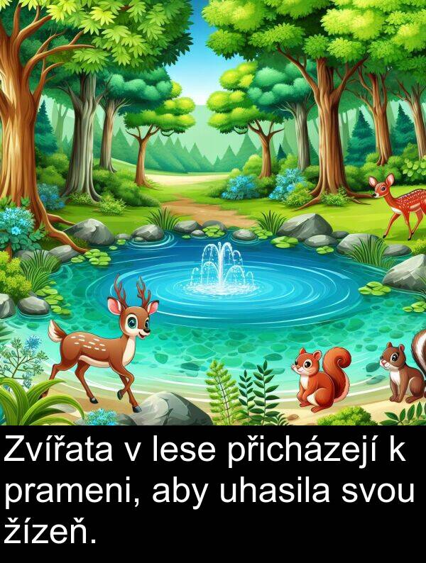 žízeň: Zvířata v lese přicházejí k prameni, aby uhasila svou žízeň.
