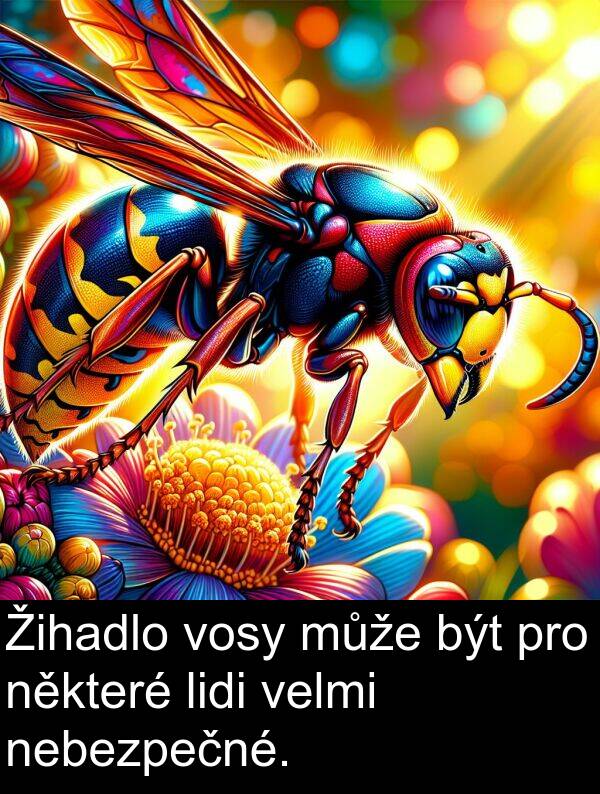 být: Žihadlo vosy může být pro některé lidi velmi nebezpečné.