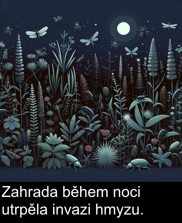 během: Zahrada během noci utrpěla invazi hmyzu.