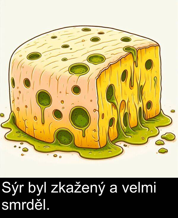 byl: Sýr byl zkažený a velmi smrděl.